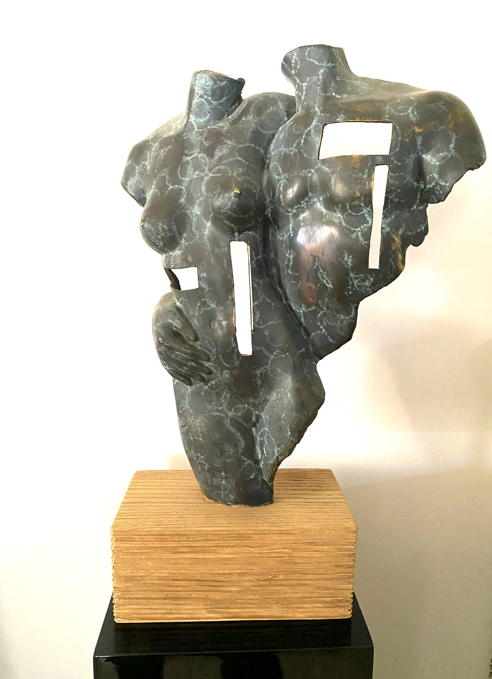 Abstrakte Bronze Akt Skulptur – Raymondo Torso auf Eichensockel