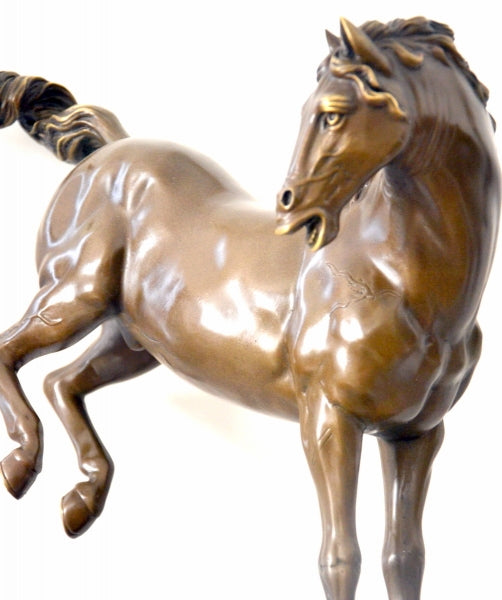 Bronzeskulptur Pferd nach Caspar Gras – Detailaufnahme von Kopf, Körper und Patina
